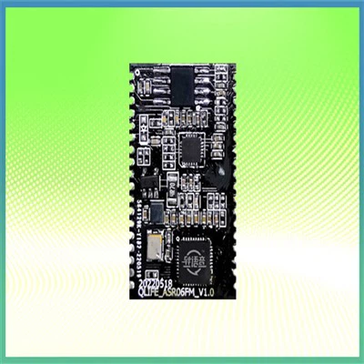 Modulo di comando vocale